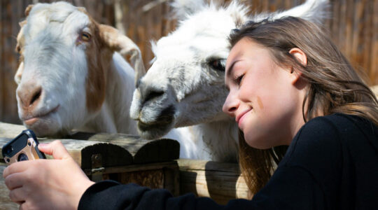 Une journée au zoo